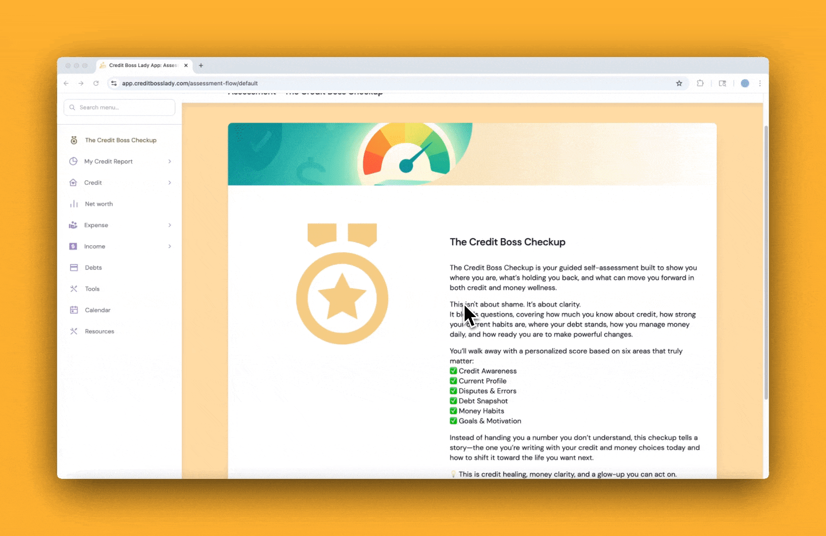 Credit Boss Checkup Preview